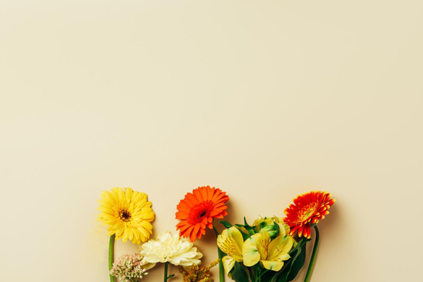 眼表眼角膜,?，斎鹨曆劭?上海眼科醫(yī)院