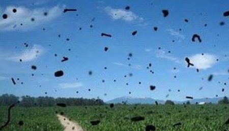 玻璃體視網膜,希瑪瑞視眼科,上海眼科醫(yī)院