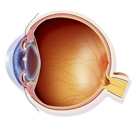青光眼,?，斎鹨曆劭?上海眼科醫(yī)院