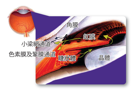 青光眼,?，斎鹨曆劭?上海眼科醫(yī)院