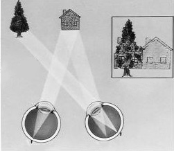 小兒眼病,希瑪瑞視眼科,上海眼科醫(yī)院