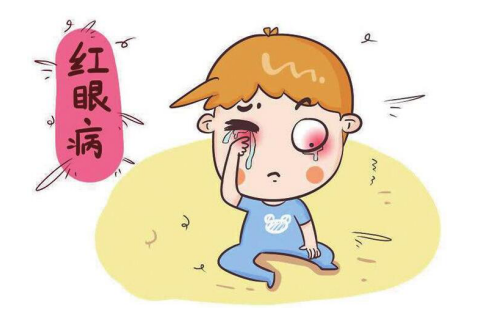 眼表眼角膜,?，斎鹨曆劭?上海眼科醫(yī)院