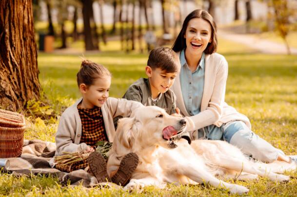 醫(yī)學(xué)驗(yàn)光配鏡,?，斎鹨曆劭?上海眼科醫(yī)院