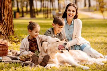 眼表眼角膜,希瑪瑞視眼科,上海眼科醫(yī)院