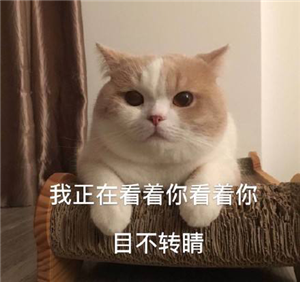 小兒眼病,希瑪瑞視眼科,上海眼科醫(yī)院