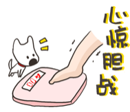 眼表眼角膜,?，斎鹨曆劭?上海眼科醫(yī)院