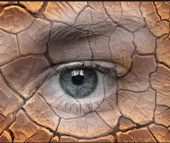 眼表眼角膜,?，斎鹨曆劭?上海眼科醫(yī)院