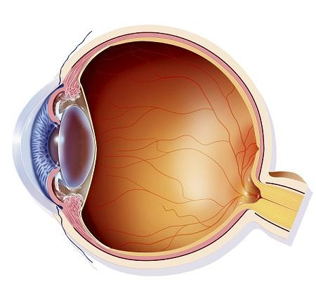 青光眼,?，斎鹨曆劭?上海眼科醫(yī)院