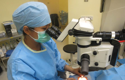 眼表眼角膜,?，斎鹨曆劭?上海眼科醫(yī)院