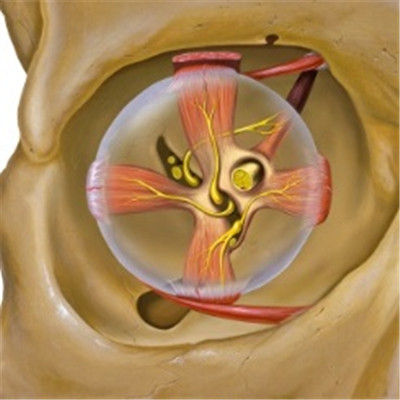 小兒眼病,希瑪瑞視眼科,上海眼科醫(yī)院