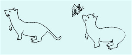 小兒眼病,?，斎鹨曆劭?上海眼科醫(yī)院