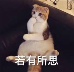 玻璃體視網(wǎng)膜,希瑪瑞視眼科,上海眼科醫(yī)院