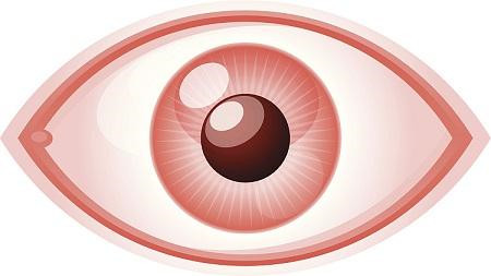 眼表眼角膜,?，斎鹨曆劭?上海眼科醫(yī)院