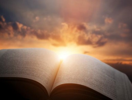 眼表眼角膜,?，斎鹨曆劭?上海眼科醫(yī)院