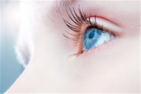 眼表眼角膜,?，斎鹨曆劭?上海眼科醫(yī)院