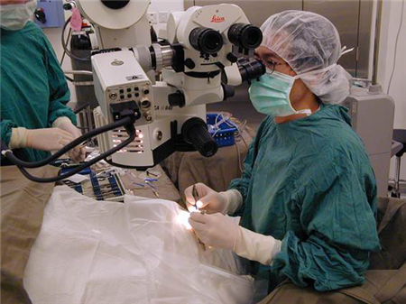 玻璃體視網(wǎng)膜,希瑪瑞視眼科,上海眼科醫(yī)院