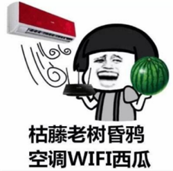 眼表眼角膜,?，斎鹨曆劭?上海眼科醫(yī)院