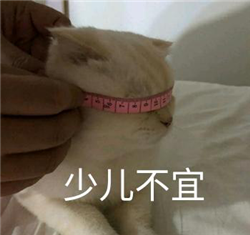 眼表眼角膜,?，斎鹨曆劭?上海眼科醫(yī)院